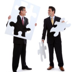 Reasons for a business partner